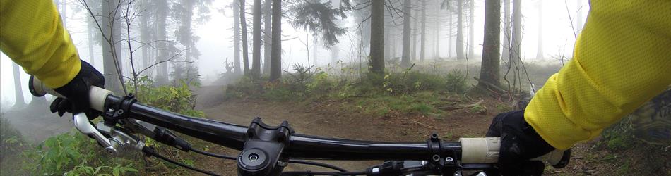 a photo of handlebars on a bike, with someone riding on a forest trail