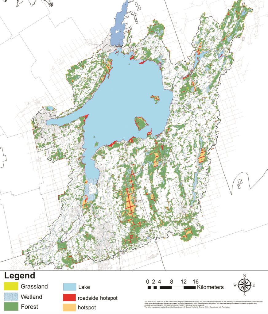 A map identifying key vehicle-wildlife collision hotpots across the Lake Simcoe watershed.