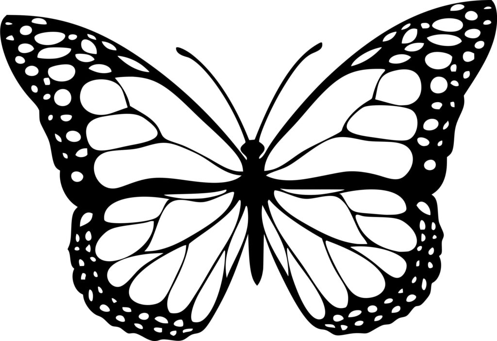 butterfly-1-black
