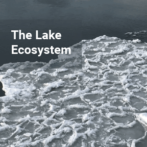 climate-change-lake-ecosystem