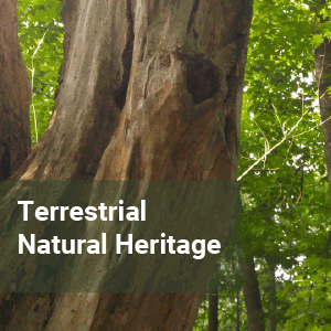 climate-change-natural-heritage