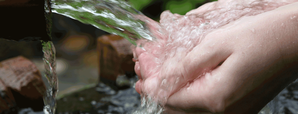 A close-up photo of water pouring into hands.