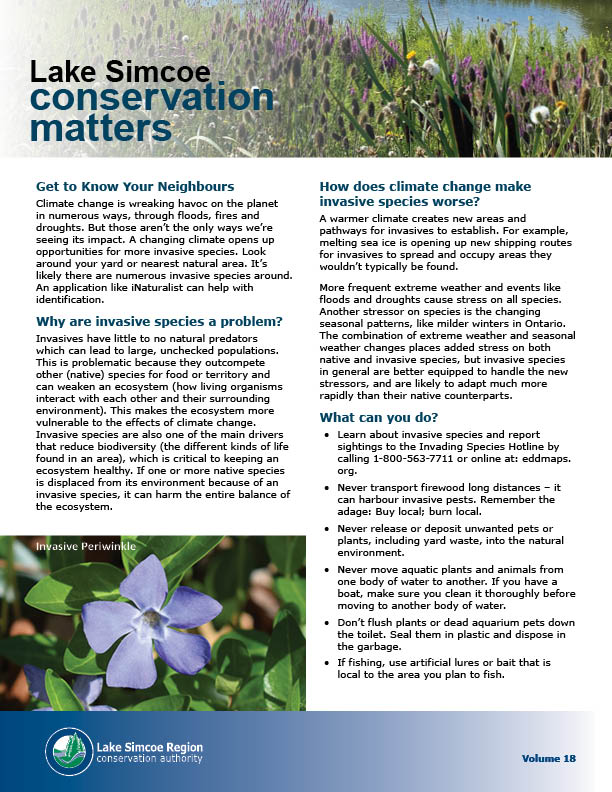 Thumbnail graphic of Conservation Matters Newsletter Article Volume 18