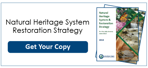 Natural Heritage System Restoration Strategy - Get Your Copy button