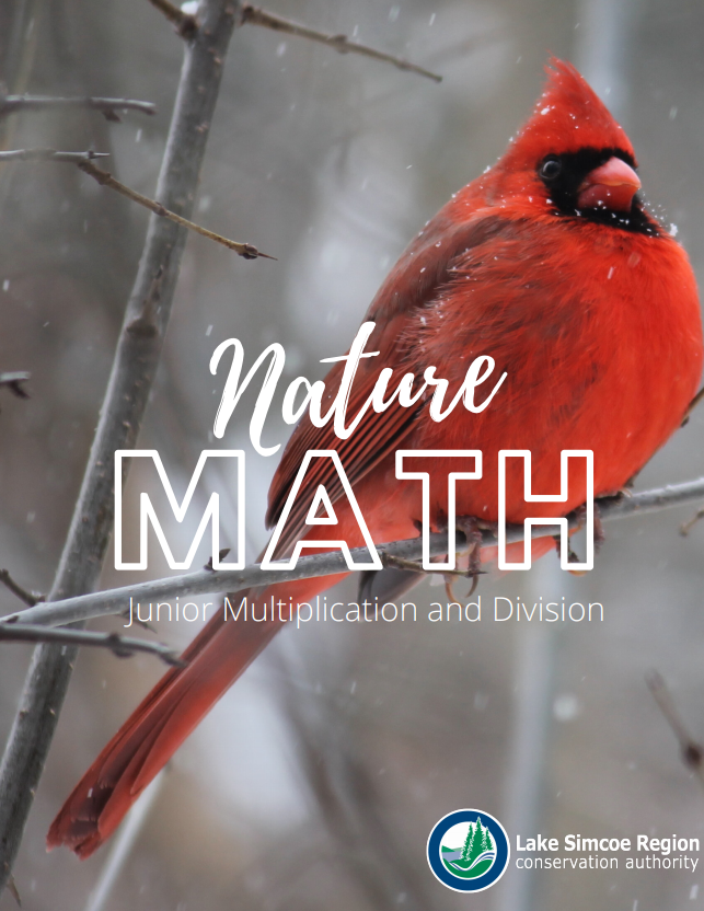 Nature Math Thumbnail