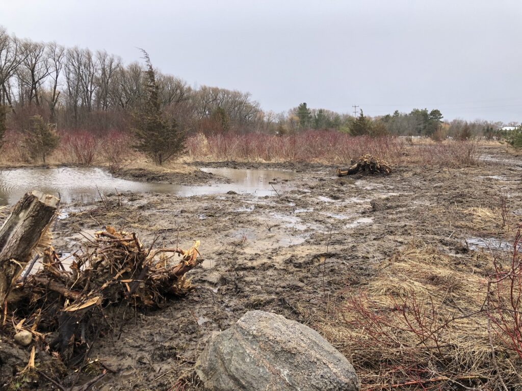 New Wetland at Luck Conservation Area