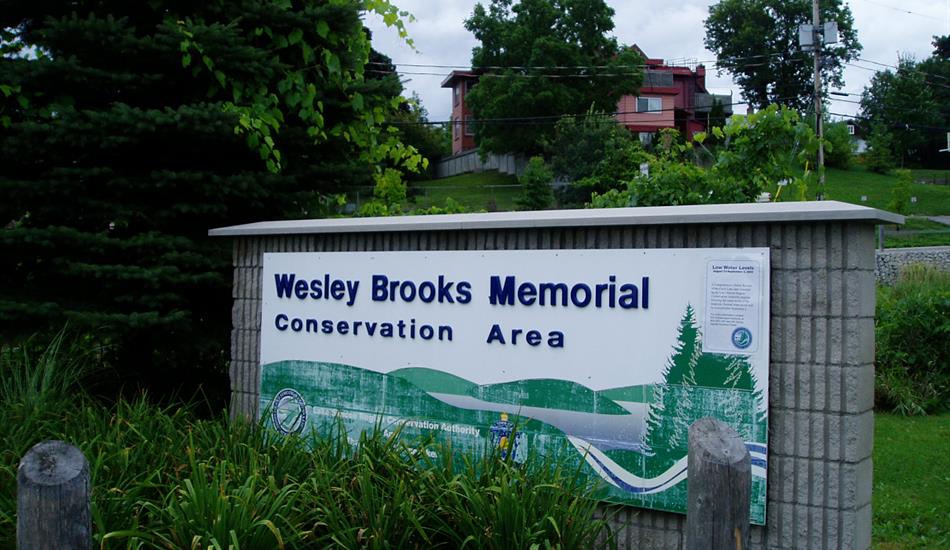 Wesley Brooks Memorial Conservation Area entrance sign surrounded by green vegetation and a large tree. Electrical lines and a large red house are visible in the background.