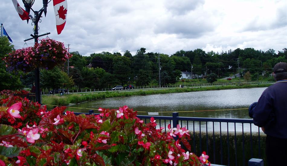 A person leans on a railing, gazing out over a pond. Bright red and pink flowers are in the forefront, as the Canadian flag proudly flutters in the scene.