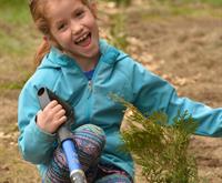 On a cloudy spring day, a young girl holds a shovel and laughs as she crouches down on one knee beside a newly planted tree seedling.