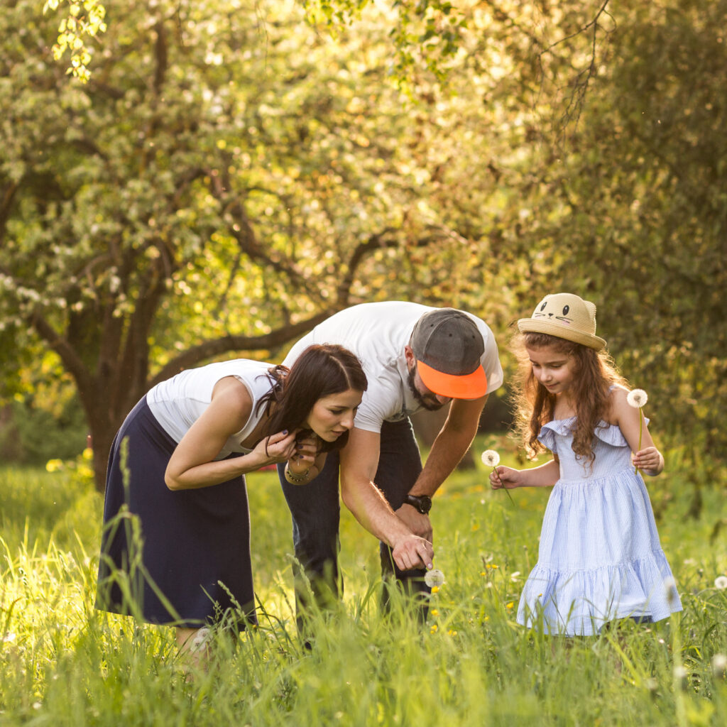 Under the sunny forest canopy, a young girl proudly holds a dandelion in each hand, as her parents point with admiration at another dandelion on the grass.