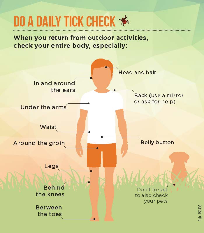 Check for Ticks when you return from outdoor activities. Check your entire body, especially your head and hair, in and around the ears, your back (use a mirror or ask for help), under the arms, waist, around the groin, belly button, legs, behind the knees and between the toes. Don't forget to also check your pets.