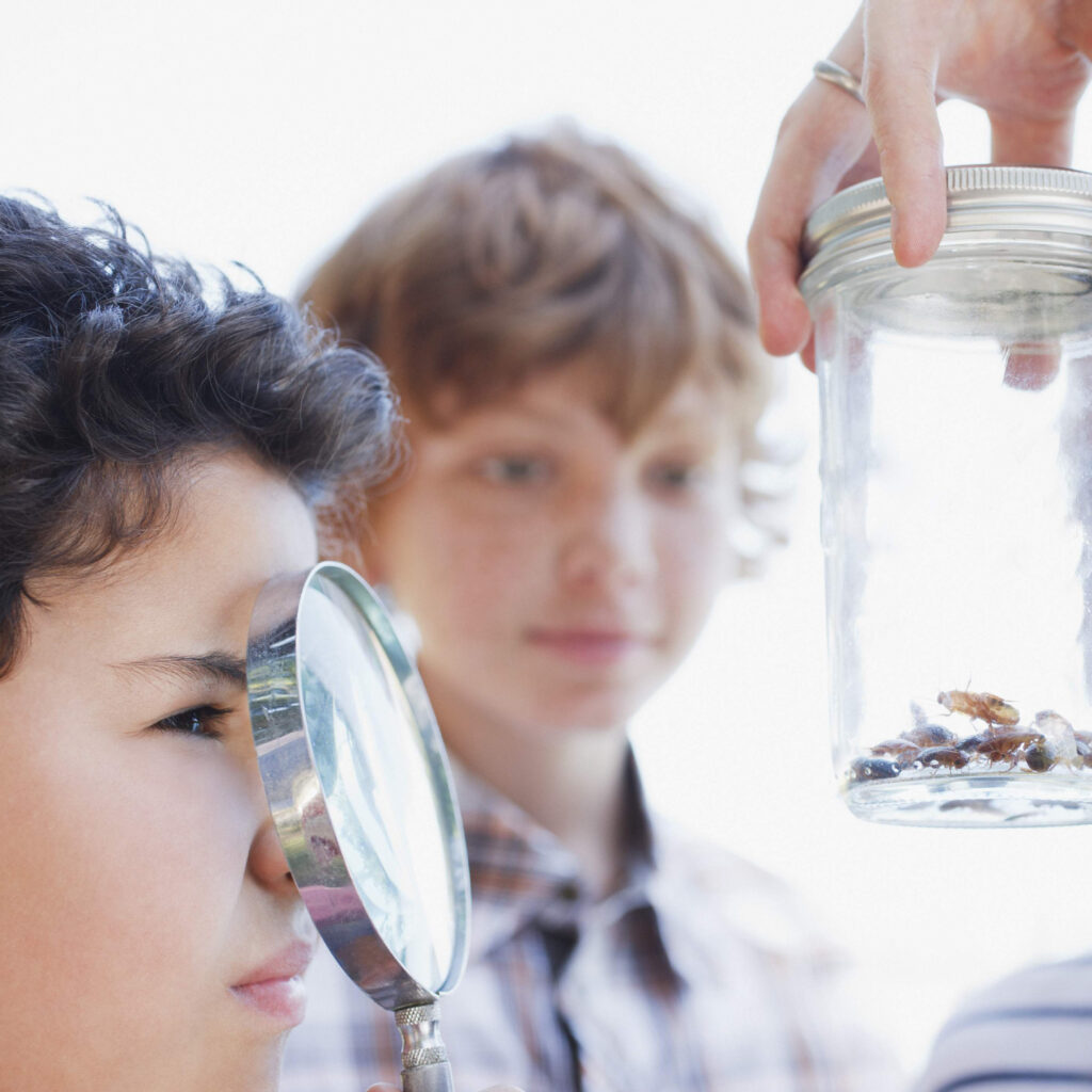 One child carefully observes bugs in a mason jar using a magnifying glass, while another child watches with curiosity.