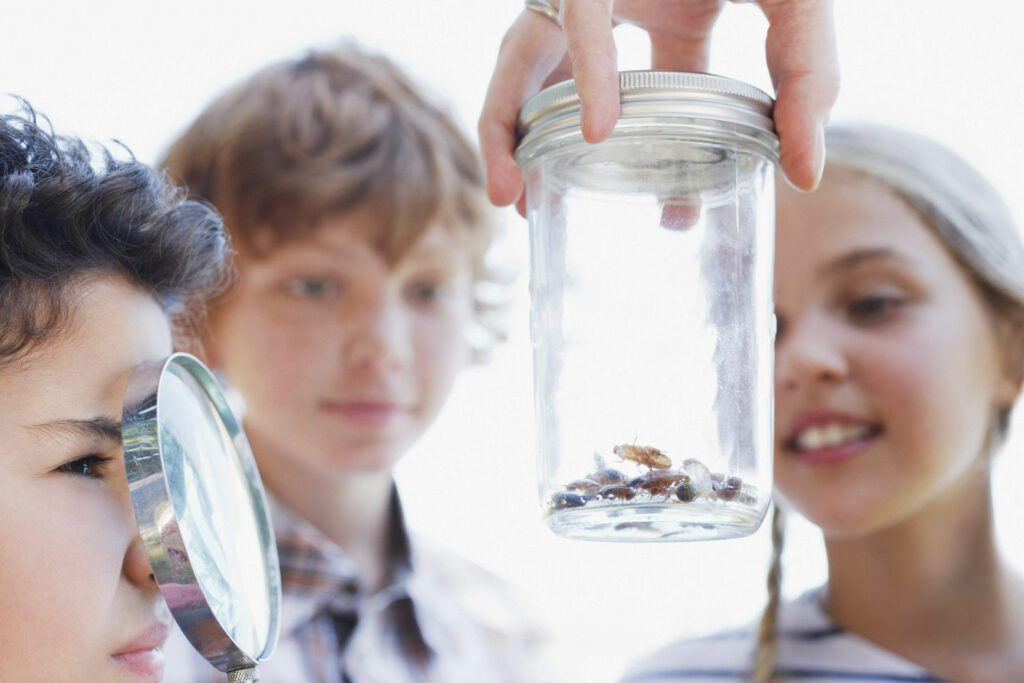 One child carefully observes bugs in a mason jar using a magnifying glass, while other children watch with curiosity.