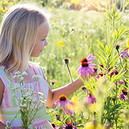 On a radiant summer day, a young girl gazes at the vibrant flowers in a meadow.