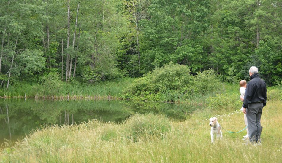 Man stands alongside a baby and dog, overlooking a serene wetland. Tall grass and lush, dark green forest provide a scenic backdrop to this heartwarming scene, capturing the beauty of nature and family connection.