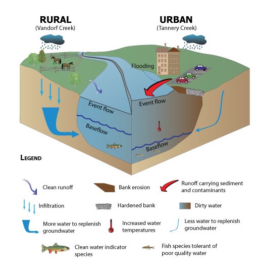 An illustration of rural and urban creeks systems. Urban systems have more flooding due to high event flows and low baseflow.