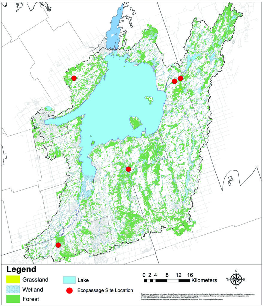 A map indentifying the placement of the ecopassages in the Lake Simcoe watershed.