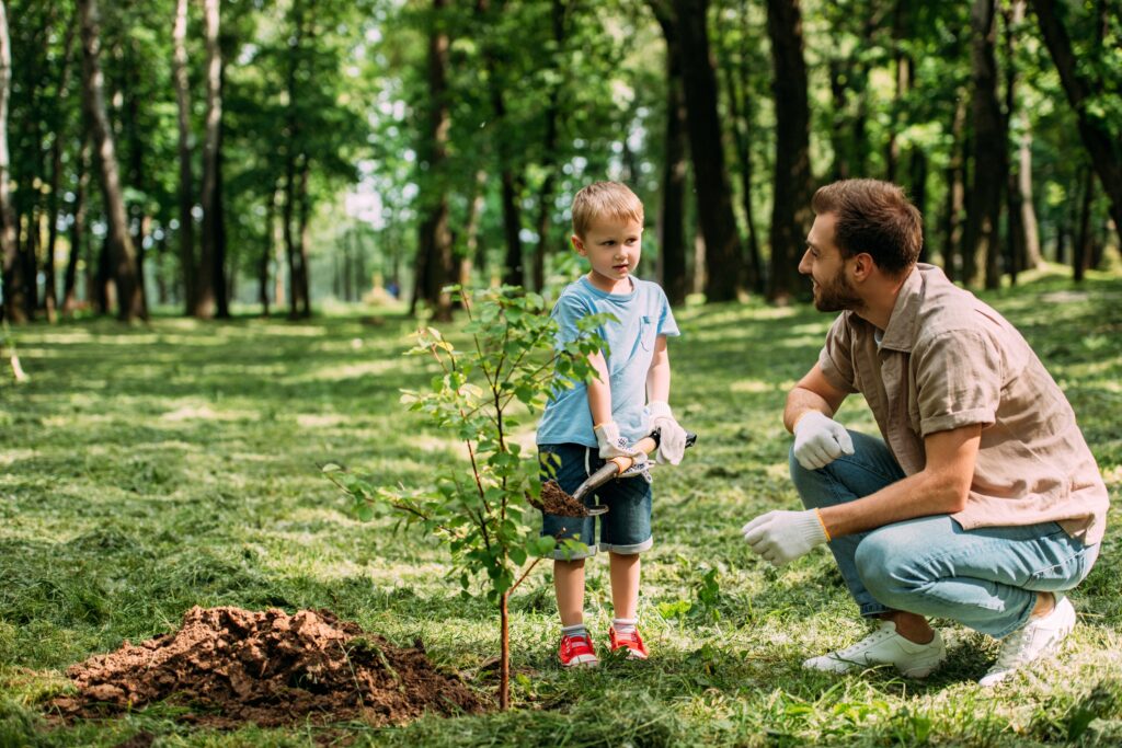 A man and boy planting a tree. The boy is holding a shovel behind a freshly planted tree. A forest is in the background.
