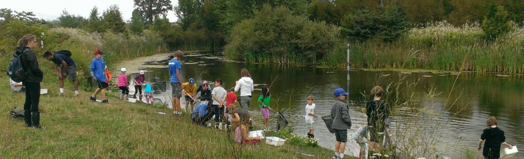 A group of students, accompanied by adults, explore a wetland as part of an outdoor education program.