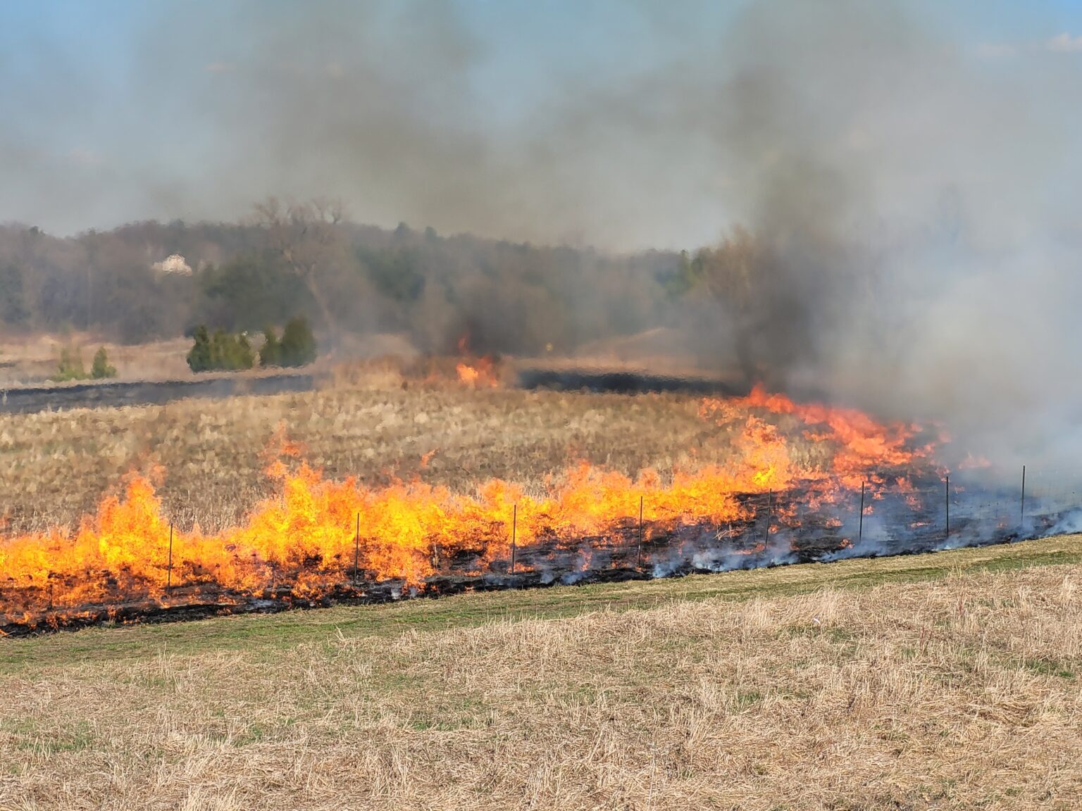 A grassland with a controlled burn set around the parameter