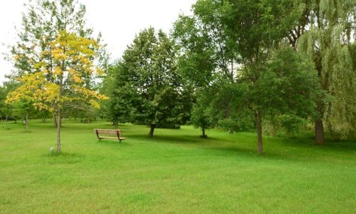 Luck Arboretum Property